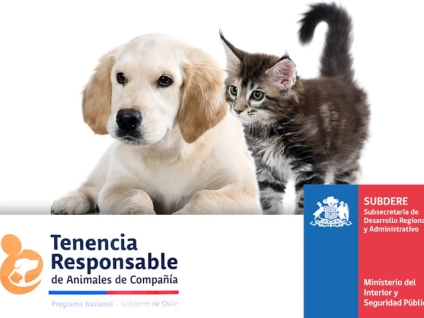 Tenencia responsable y circulación de perros